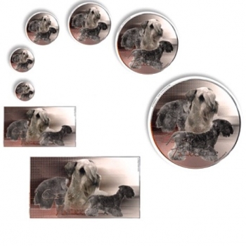 Aufkleber Tschechischer Terrier / Cesky-Terier