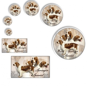 Aufkleber Welsh Springer Spaniel