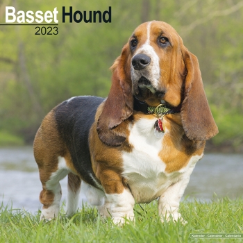 Kalender 2023 Basset Hound Hund