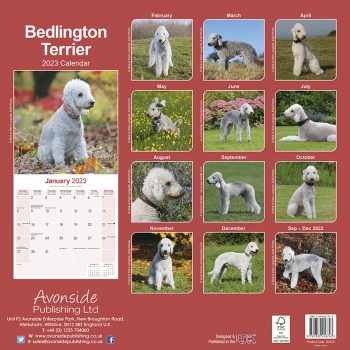 Kalender 2023 Bedlington Terrier