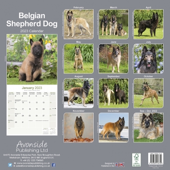 Kalender 2017 Belgischer Schäferhund Tervueren