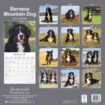 Kalender 2023 Berner Sennen Hund