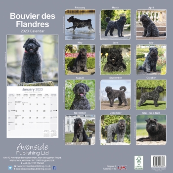 Kalender 2023 Bouvier des Flandres