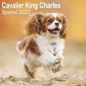 Kalender 2023 Cavalier King Charles Spaniel