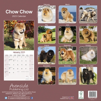 Kalender 2023 Chow Chow