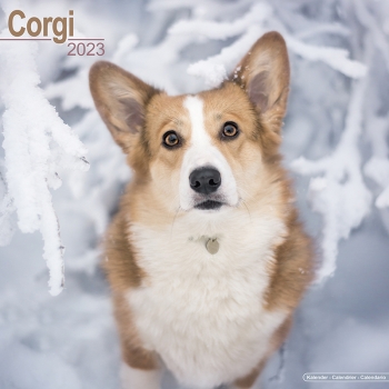 Kalender 2023 Corgi