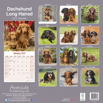 Kalender 2023 Dackel Langhaar Dachshund Teckel