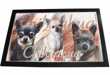 Designer Fussmatte Chihuahua 2 Kurzhaar