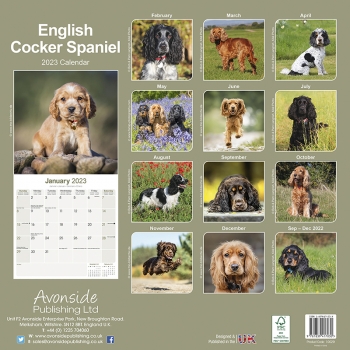 Kalender 2023 English Cocker Spaniel