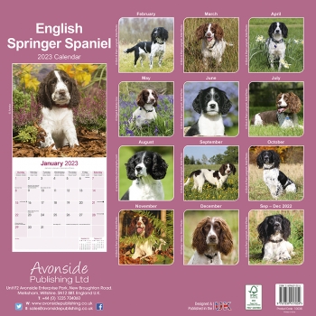 Kalender 2023 English Springer Spaniel (Euro)