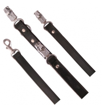 Extra breite Lederleine 2,5 cm breit schwarz silber