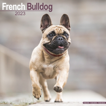 Kalender 2023 Französische Bulldogge