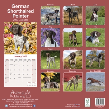 Kalender 2023 German shorthaired pointer