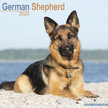 Kalender 2023 Deutscher Schäferhund