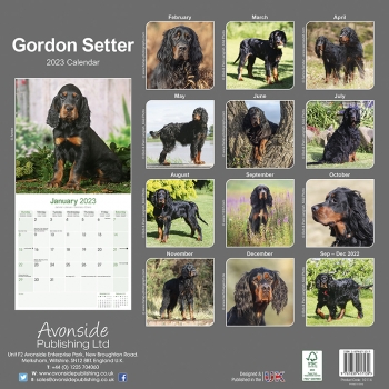 Kalender 2023 Gordon Setter