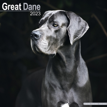 Kalender 2023 Deutsche Dogge unkupiert (Euro)
