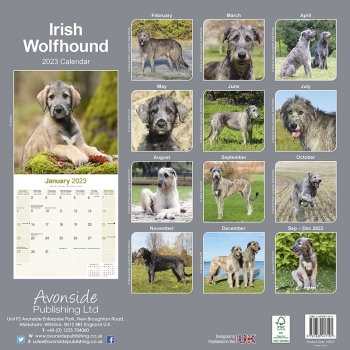 Kalender 2023 Irish Wolfhound Irischer Wolfshund