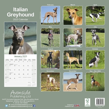 Kalender 2023 Italian Greyhound Windhund