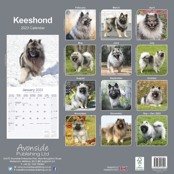 Kalender 2023 Deutscher Spitz / Keeshond