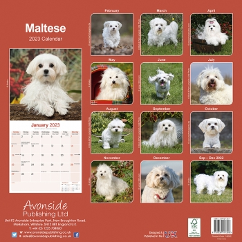 Kalender 2023 Malteser