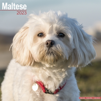 Kalender 2023 Malteser
