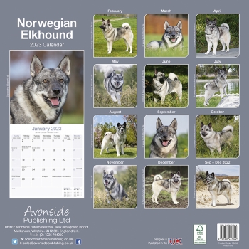 Kalender 2023 Norwegian Elkhound