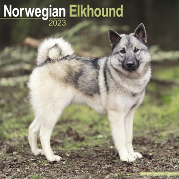 Kalender 2023 Norwegian Elkhound