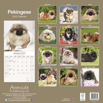 Kalender 2023 Pekinese Palasthund