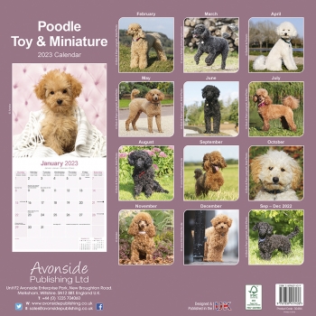 Kalender 2023 Pudel Toy und Zwergpudel