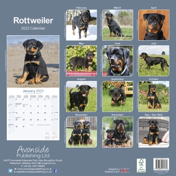 Kalender 2023 Rottweiler