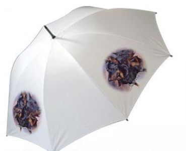 Regenschirm Motiv Beauceron 1 kupiert