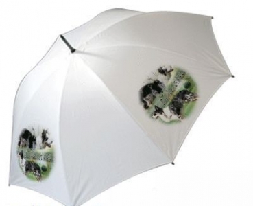 Regenschirm Motiv Border Collie 4