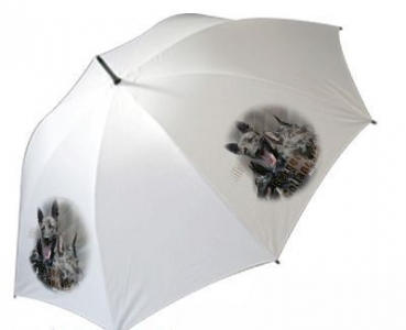 Regenschirm Motiv Holländischer Schäferhund 1 Kurzhaar