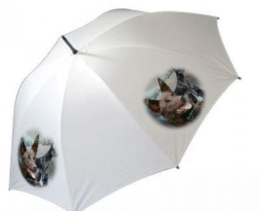 Regenschirm Motiv Kelpie / Australischer Schäferhund