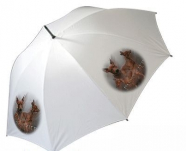 Regenschirm Motiv Pinscher Deutscher Pinscher