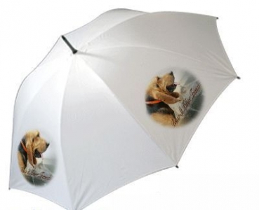Regenschirm Motiv Bloodhound 2 / Chien de Saint Hubert