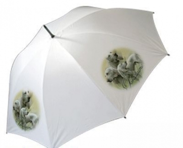 Regenschirm Motiv Porcelaine