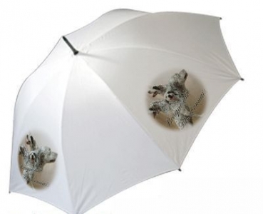 Regenschirm Motiv Braque du Bourbonnais