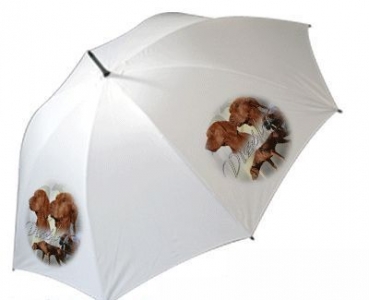 Regenschirm Motiv Vizsla 1 Ungarischer Vorstehhund 