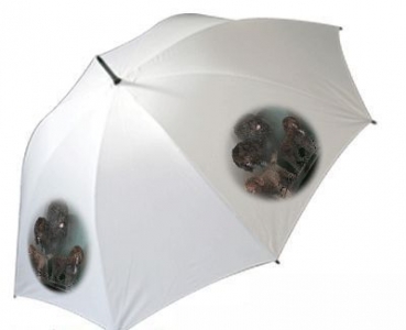Regenschirm Motiv Barbet Französischer Wasserhund