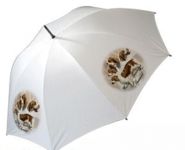 Regenschirm Motiv Welsh Springer Spaniel