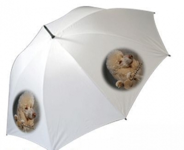 Regenschirm Motiv Pudel 2 Apricot
