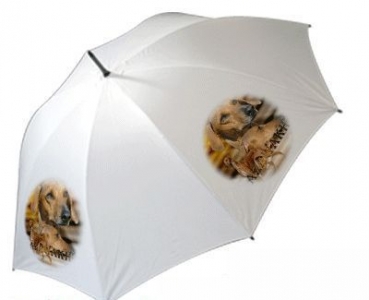 Regenschirm Motiv Azawakh 1 Afrikanischer Windhund