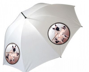 Regenschirm Motiv Französische Bulldogge 4 Welpen falb