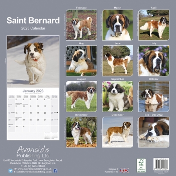 Kalender 2023 Bernhardiner