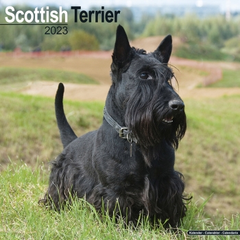 Kalender 2023 Scottish Terrier