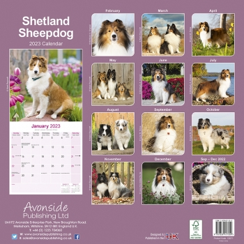 Kalender 2023 Shetland Sheepdog Sheltie