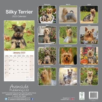 Kalender 2023 Silky Terrier