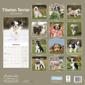 Kalender 2023 Tibetan Terrier / Tibet Terrier