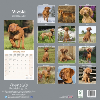 Kalender 2023 Vizsla / Ungarischer Vorstehhund